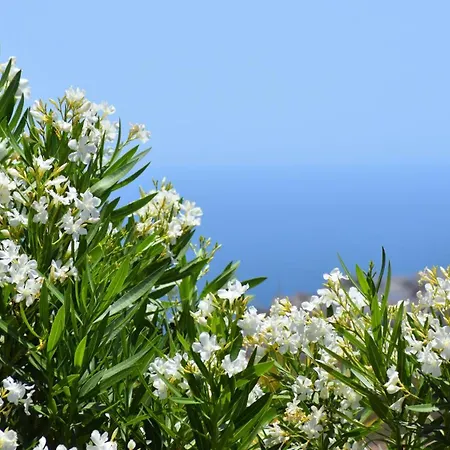 La Lomilla Nerja